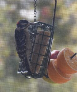 Wildlife Sciences High Energy Suet Cake 10 Pack 38 81KHiVNt0mL