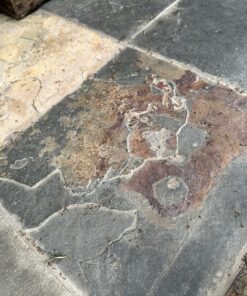 Flowtron Bug Zapper, 1 Acre of Outdoor Coverage with Powerful 40W Bulb & 5600V Instant Killing Grid, Electric Insect, Fly & Mosquito Zapper, Made in The USA 38 81KN27JtESL 1