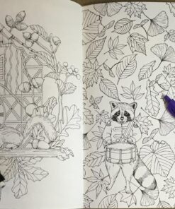 Mori ga kanaderu rhapsody. Rhapsody in the forest.(Coloring Book Japan Edition) 61 81KcTc6nKNL