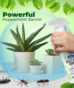 Mighty Mint Insect & Pest Control Peppermint Concentrate 8 oz - Makes 1 Gallon - Plant-Based Formula Kills and Prevents Spiders, Ants, Flying Insects, and More 23 81Ke TzD2GS