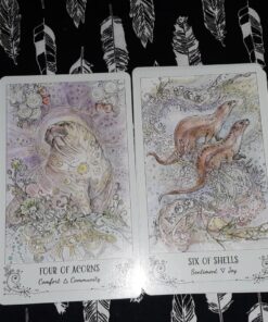 Spiritsong Tarot 61 81Kh4fGefL