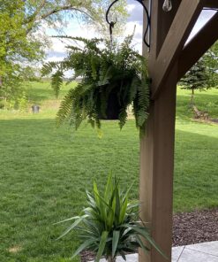 UpBlend Outdoors Plant Hangers Outdoor Hook - 10 X 13.75 Inch Heavy Duty Plant Hanger Bracket, Indoor Wrought Iron Wall Plant Holder, Flower Hooks for Hanging Baskets, Lantern, Windchime Strong, 1 Pack 24 81KkbjS wNL