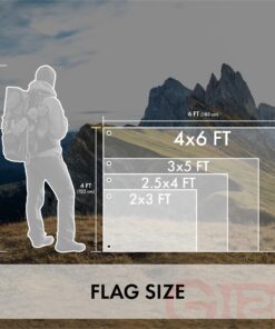 G128 American USA Flag | 4x6 Ft | StormFlyer Series Embroidered 220GSM Spun Polyester | Country Flag, Embroidered Stars, Sewn Stripes, Indoor/Outdoor, Brass Grommets, Heavy Duty, All Weather 25 81Km6uFa9lL