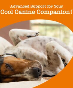 Zesty Paws Calming Chews for Dogs Composure & Relaxation for Everyday Stress & Separation Advanced Melatonin 90 Count Turkey - Melatonin 90 Count (Pack of 1) 29 81KpFoKPwPL