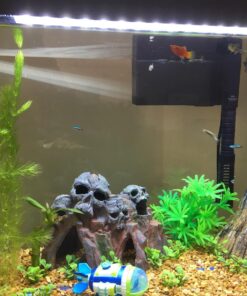 Microsorum Java Fern and Hornwort | Easy Low Light Aquarium Plants 29 81KpuMtnSGL