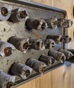 Seed Needs, 230+ Peaches & Cream Sweet Corn Seeds (Zea mays) Untreated and Non-GMO Bulk 32 81Kr9Zy S L