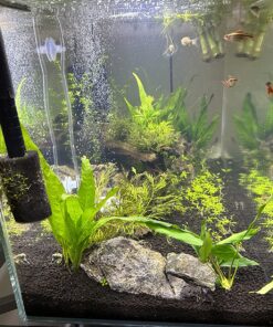 Seachem PhosGuard, 100 mL bagged - 67101850 24 81Kt8i2Q0GL