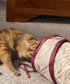 SmartyKat Crackle Chute Crinkle Activity Tunnel Cat Toy - Tan/Red, One Size Set of 1 Crackle Chute Tunnel 44 81Ku0vwO7L