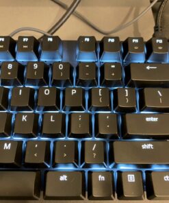 Razer BlackWidow Lite TKL Tenkeyless Mechanical Keyboard : Orange Key Switches - Tactile & Silent - White Individual Key Lighting - Compact Design - Detachable Cable - Classic Black Orange Switches - Tactile & Silent 51 81L03KG0VL