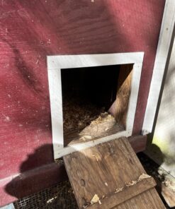 ADOR1 Automatic Chicken Coop Door, Complete with Battery 37 81L23DSiIuL