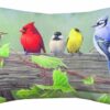 Manual Climaweave Indoor/Outdoor Decorative Throw Pillow, 18 X 13-Inch, Birds on a Line II 18 x 13 in