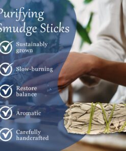 Premium White Sage Smudge Sticks, Sage Bundle, Spiritual Cleansing, Sage Smudge Kit, Slow Burning Sage Sticks, Dried Herbs for Meditation Accessories 3 Pk of 4" Bundles - Alternative Imagination 3 Pack - 4 Inch 28 81L5ebeYBPL