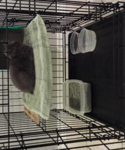 MidWest Homes for Pets Small Dog Crate, Life Stages 24' Double Door Folding Metal Dog Crate | Divider Panel, Floor Protecting Feet, Leak-Proof Dog Pan| 24L x 18W x 19H Inches, Small Dog Breed 24.0"L x 18.0"W x 19.0"H Lifestages; Double Door 30 81L5saXMO8L