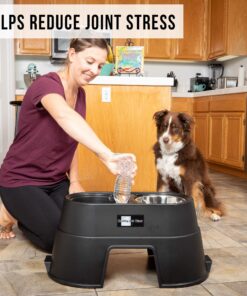 OurPets Comfort Diner Elevated Dog Food Dish (Bowls Available in 4 inches, 8 inches and 12 inches for Large , Medium and Small Dogs), Black, 12-inch 28 81L6MFhqymL