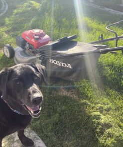 Honda 81320-VG4-010 Harmony Fabric Grass Bag 7 81L6wz4J5L