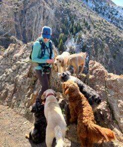 PetSafe Treat Pouch Sport- Durable, Convenient Dog Training Accessory, Standard, Black 36 81LAGH0nXL