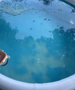 Perfect Pools Pool Spa Jacuzzi Pond Mini Jet Vac Vacuum Cleaner w/ Brush, Bag, and 4' Pole 36 81LAqDVylXL