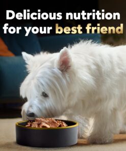 CESAR Adult Wet Dog Food Loaf & Topper in Sauce Rotisserie Chicken Flavor with Bacon & Cheese, 3.5 oz. Easy Peel Trays, Pack of 24 3.5 Ounce (Pack of 24) 27 81LCmPUhqIL 2