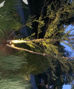 URPOWER Solar Lights Outdoor, Adjustable Solar Spot Lights Outdoor, 2-in-1 Waterproof Solar Landscape Spotlights Wall Light, Dusk-to-Dawn Solar Powered Outdoor Light for Garden, Yard (2 Pack Warm) 2 Pack Warm White 53 81LDxWXi4FL