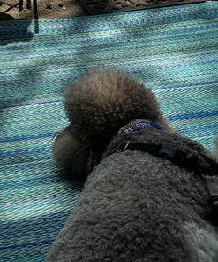 Fab Habitat Outdoor Rug - Waterproof, Fade Resistant, Crease-Free - Premium Recycled Plastic - Striped - Large Patio, Deck, Sunroom, Camping, RV - Cancun - Turquoise & Moss Green - 6 x 9 ft 6' x 9' Rectangular 36 81LEac3haL 1