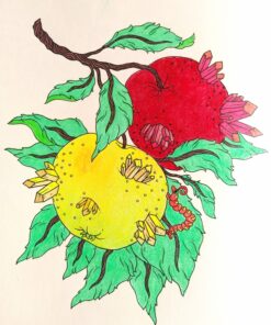 Jewelry Box Coloring Book: Published in Sweden as "Smyckeskrinet" 68 81LEqRcgZ L