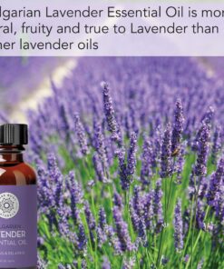 Bulgarian Lavender Essential Oil by Pure Body Naturals, 1 Fluid Ounce - 100% Pure, Independently Tested, Therapeutic Grade Lavender Essential Oil for Diffuser Aromatherapy 19 81LH28PhxvL