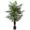 Nearly Natural 5416 5ft. Areca Palm Tree,Green,42" x 11" x 11" 44 81LJvBgWizL