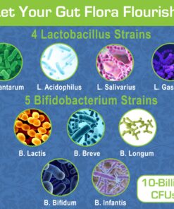 Mama’s Select Probiotics for Women Digestive Health, 9 Live Strains, Including Lactobacillus acidophilus, Adult Pre and Postpartum Gut Health Support, Weight Management, 10 Billion CFUs, 60 Capsules 21 81LKg6YPD3L