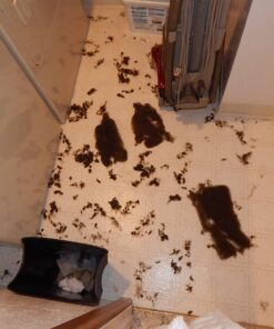 Olive Drab Green Warm Fire Retardant Blanket, 66" x 90" (80% Wool)-US Military Style 38 81LLtyk8zaL