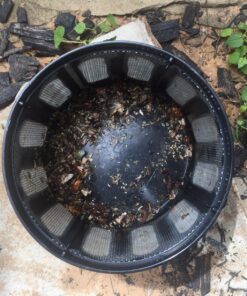 DynaTrap DT1050SR Mosquito & Flying Insect Trap – Kills Mosquitoes, Flies, Wasps, Gnats, & Other Flying Insects – Protects up to 1/2 Acre 41 81LNrLQKjL