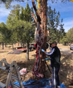 Elk Ridge - Outdoors 3-PC Hunting Knife Set - Satin Finish Stainless Steel Blades, Black Nylon Fiber Handles, Includes Combo Sheath - Hunting, Camping, Survival - ER-252 14 81LOsPwE8CL