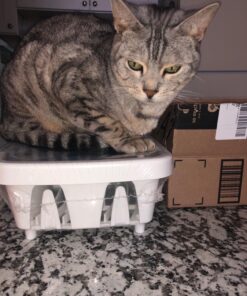 Camco 43511 Mini Dish Drainer, White, EA Dish Rack and Tray 51 81LW8OPCHvL