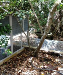 AMAGABELI GARDEN & HOME Hardware Cloth 1/2 inch 48inx50ft 19 Gauge Square Chicken Wire Galvanizing After Welding Fence Mesh Roll Raised Garden bed Plant Supports Poultry Netting Cage Snake Fence JW007 1/2inch 48inx50ft 36 81LaDfUrKAL 2