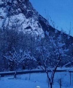 URPOWER Solar Lights Outdoor, Adjustable Solar Spot Lights Outdoor, 2-in-1 Waterproof Solar Landscape Spotlights Wall Light, Dusk-to-Dawn Solar Powered Outdoor Light for Garden, Yard (2 Pack Warm) 2 Pack Warm White 46 81LbnTDasIL