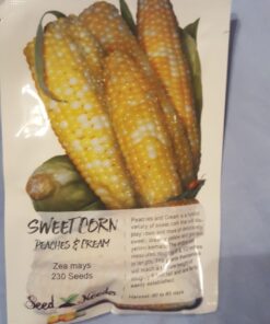 Seed Needs, 230+ Peaches & Cream Sweet Corn Seeds (Zea mays) Untreated and Non-GMO Bulk 38 81LhoxpgSeL