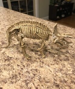 Large Dinosaur Excavation Kit 36 81LiZnm7AZL