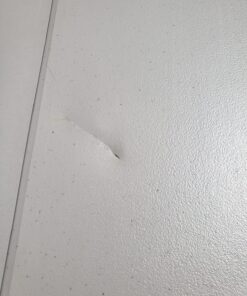 Lifetime 22119 Folding Picnic Table, 6 Feet, Putty 37 81LjgWkGy5L