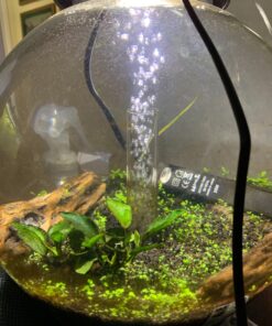 biOrb CLASSIC 15 Aquarium with LED - 4 gallon, Black 18 81Lla5Q2L5L