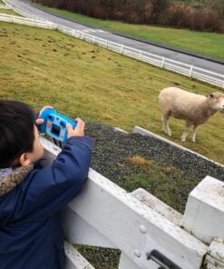 VTech Kidizoom Camera Pix, Blue Standard Packaging 45 81LoDLJDT2L