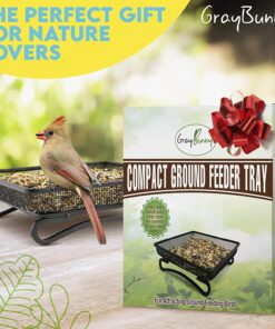 Gray Bunny Ground Bird Feeder Tray, Metal Platform Bird Feeder Dish Size 7 x 7 Inches, Durable Rust Resistant Feeder for Wild Birds, Squirrels, Doves, Cardinals 1 Pack (7x7 inches) 23 81Lqao3yRAL