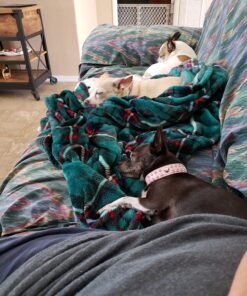 DentaLife Made in USA Facilities Small/Medium Dog Dental Chews, Daily - 40 ct. Pouch 40 Count (Pack of 1) 40 81LrMa8CzIL