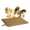 K&H Pet Products Thermo-Peep Heated Pad Tan Petite 9 X 12 Inches 9 81LugEMP9UL 1