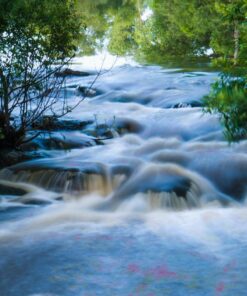 Tamron AFA012N700 SP 15-30mm f/2.8 Di VC USD Wide-Angle Lens for Nikon F(FX) Cameras Black 61 81LxNg n23L