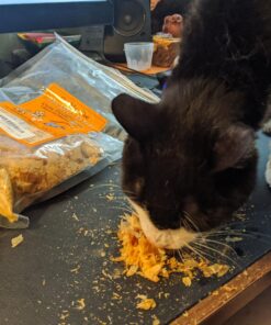 Cat-Man-Doo Extra Large Dried Bonito Flakes Treats for Dogs & Cats - All Natural High Protein Flakes - 4oz. / 112g Bag 4 Ounce (Pack of 1) 45 81LxiGbgkpL 1