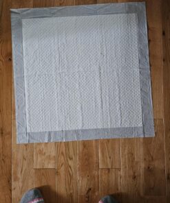 Amazon Basics Dog and Puppy Pee Pads with Leak-Proof Quick-Dry Design for Potty Training, Standard Absorbency, Regular Size, 22 x 22 Inches, Pack of 100, Blue & White Unscented Regular (100 Count) 27 81LzBvF8p4L 4