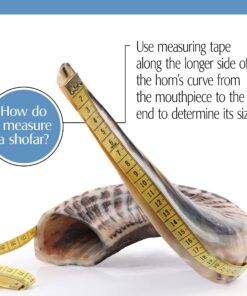 Half-Polished Finish Yemenite Kudu Horn Shofar 20"-22" 14 81M rJZHVL