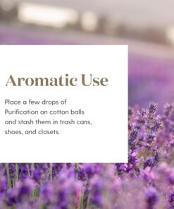 Young Living Purification Essential Oil - 5ml Pure and Refreshing Aroma, Blend of Citronella, Lavender, Lemongrass, Myrtle, Rosemary, and Tea Tree 6 81M yBLEVfL