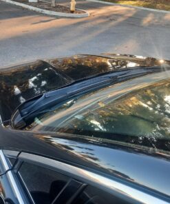 Chemical Guys GAP_619_16 Black Light Hybrid Radiant Finish, Glaze & Sealant, (Safe for Cars, Trucks, SUVs, & More) for Black and Dark Colored Cars, 16 fl oz 39 81M0YgB2l2L