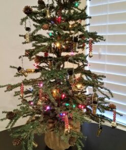 Glass Vials, 1 Dram, Pack of 12 Small 9 81M4RMfz DL