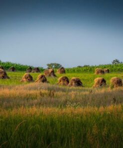 Rokinon 14mm f/2.8 IF ED UMC Ultra Wide Angle Fixed Lens w/ Built-in AE Chip for Nikon 66 81M6G5A29cL